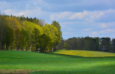 Obraz na płótnie Canvas Spring landscape