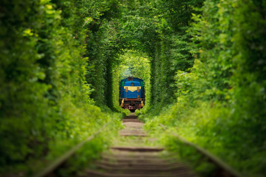 Fototapeta tajny pociąg „tunel miłości” na Ukrainie. Lato