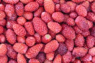 Forest strawberry background