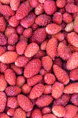 Strawberry background pattern