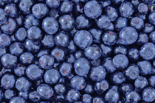 Blueberry background HDR