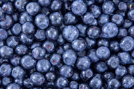 Blueberry background pattern