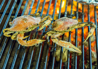 Meat of crabs