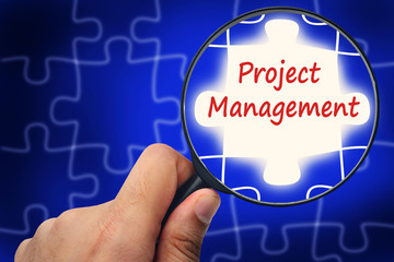 Project management word. Magnifier and puzzles.