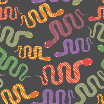 Snake seamless pattern. Vector background of desert reptiles. Co