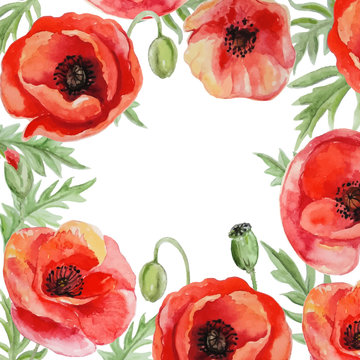 Vector Frame With Red Watercolor Poppy Flowers.