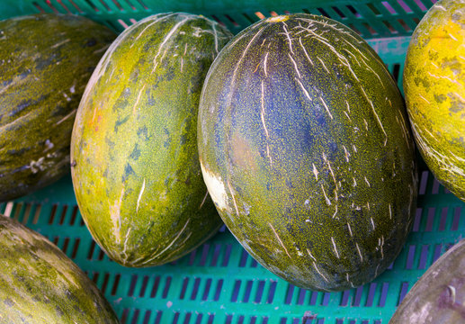 Cucumis melo box of melons