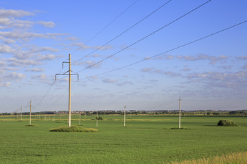 Power lines on green field with seedlings of cereals.