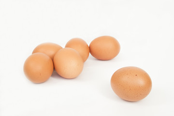 eggs