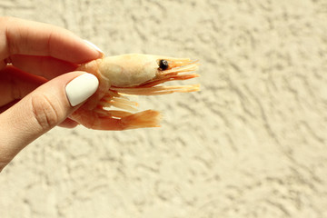 Shrimp in a hand on a background of sand