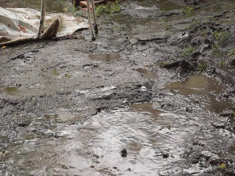 yağmur ve yere d&uuml;şen damlaları