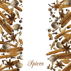 spices drawing by watercolor