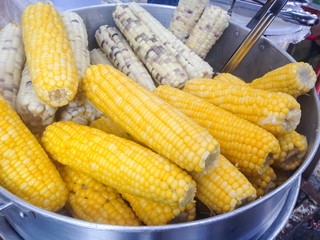 Sweet boiled corn in Thailand