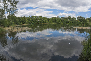 A pond in Hampstead Heath, London, UK
