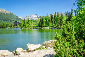 Mountain lake on background of green trees and sky