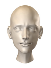 Human Head