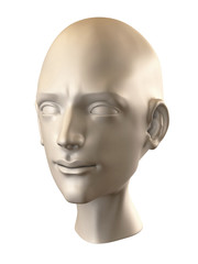 Human Head