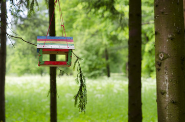 Feeders for birds in the park