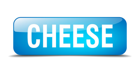 cheese blue square 3d realistic isolated web button