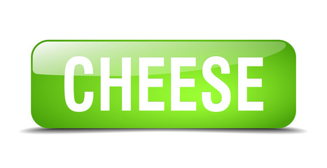 cheese green square 3d realistic isolated web button