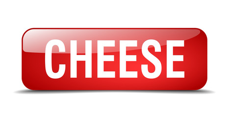 cheese red square 3d realistic isolated web button