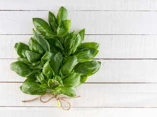 Fresh Basil Bouquet Tied With Twine