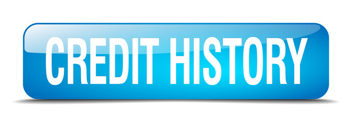 credit history blue square 3d realistic isolated web button