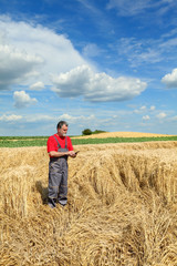 Naklejka na ściany i meble Agriculture, farmer or agronomist inspect damaged wheat field