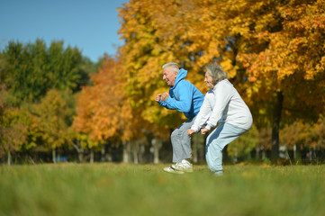 Fototapeta premium Mature couple in the autumn park