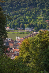 View over Heidelberg