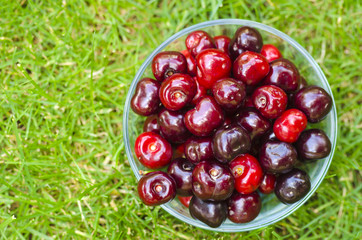 Cherries in bowl on grass
