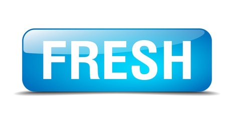 fresh blue square 3d realistic isolated web button