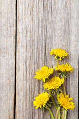 Yellow dandelion on grey wooden background