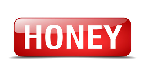 honey red square 3d realistic isolated web button