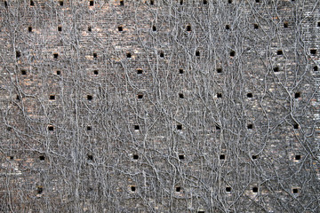 Castello Sforzesco e Parco Sempione