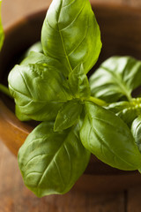 Raw Organic Green Basil