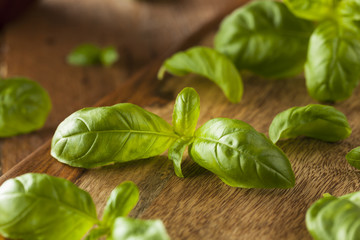 Raw Organic Green Basil