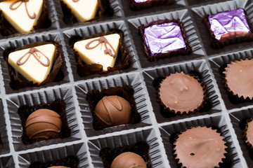 Group of delicious chocolate pralines