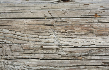 Old retro wood surface