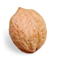 Walnut, nut, set.