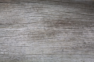 Old retro wood surface
