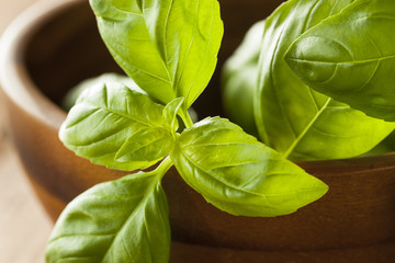 Raw Organic Green Basil