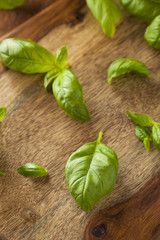 Raw Organic Green Basil