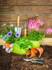 Gardening, garden, plant.