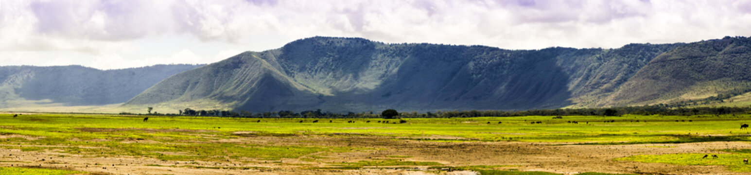 Panoramic View of Ngorongoro