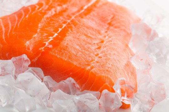 Salmon, Fish, Ice.