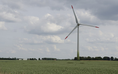 Fototapeta premium Windkraft