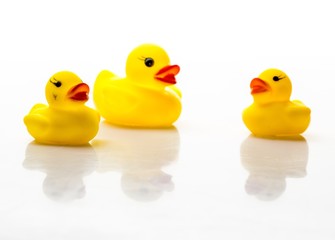 Rubber Duck, Mother, Rubber.