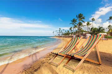 Beach, Tropical Climate, Palm Tree.