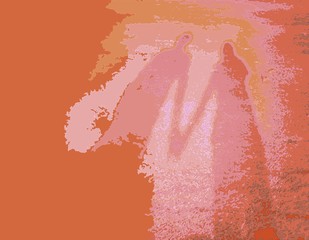 shadow of couple holding hand with pink background